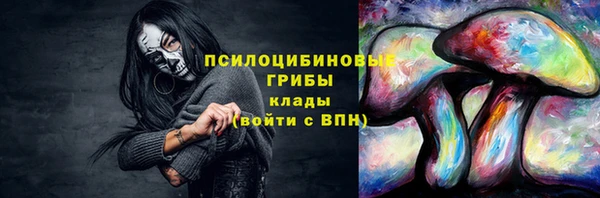 бошки Богородицк