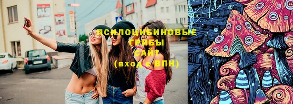 первитин Богданович