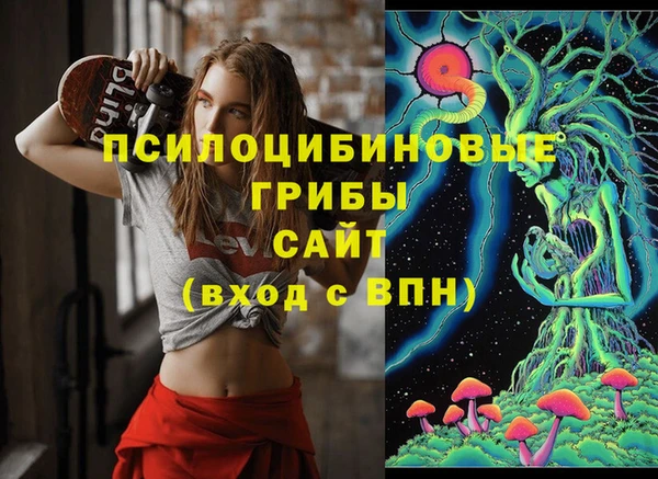 первитин Богданович