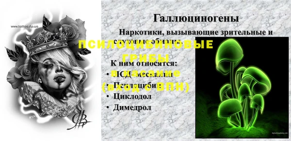 бошки Богородицк