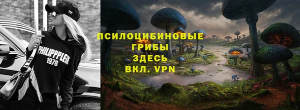 дурь Богородск