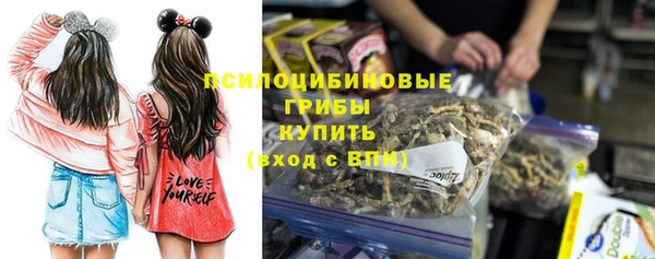 первитин Богданович