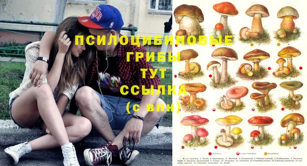 mix Белокуриха