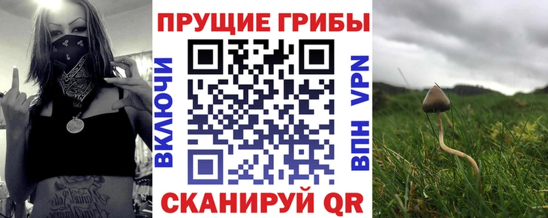 hydra ССЫЛКА  Вязники  Галлюциногенные грибы мухоморы 