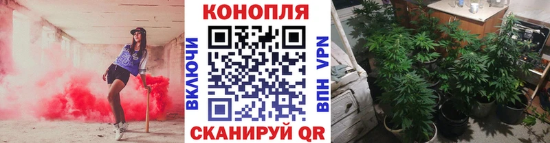 Марихуана гибрид  купить наркотики сайты  Вязники 